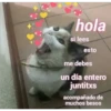 michis con frases 15