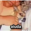 aiuda