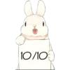 Rabbits 28