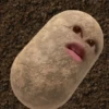 kentang is potato 28