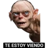 TE ESTOY VIENDO