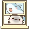 Cats and Shark 30