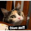 Cómo así!!