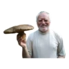 Harold 5