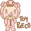 (C) (C) Toy PUECO