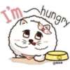 My Lovely Meow 5