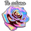 Rosas ❤🌹 5