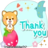 Thank
You
Eli&Javi(JD)*@*
