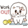 My Lovely Meow 8