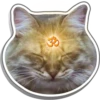 疗