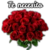 Rosas ❤🌹 8