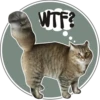 WTF?