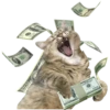 Gat sSSs 11