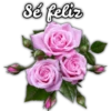 Rosas ❤🌹 10