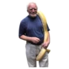 Harold 11