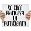 SE CREE
PRINCESA
LA
PUTICIENTA
Alb
COKKI