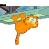 Garfield 1 5