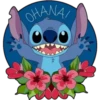 Stitch 15