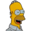 Los Simpson 14