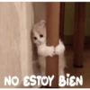 Gatitos    1 14