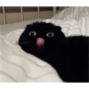 sweet meme cats 12