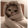 sweet meme cats 13