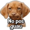 Perritos XD 8