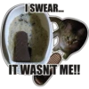 ISWEAR...
IT WASN'T ME!!
77