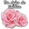 Rosas ❤🌹 14