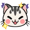 ㏄