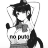 no puto
