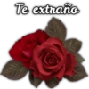Rosas ❤🌹 16