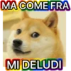 Bolis non fottermi gli sticker, Coglione 12
