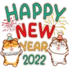 HAPPY
NEW
NEAR
2022