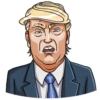 Mr. Trump 14