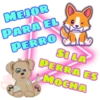 MEJOR PARA EL PERRO A of pretion SI LA PERRA ES MOCHA