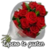 Rosas ❤🌹 18