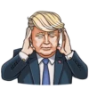 Mr. Trump 16