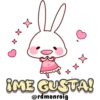 Rabbit & Tomato 1 7