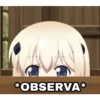 *OBSERVA*