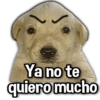 Perritos XD 11