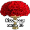 Rosas ❤🌹 19