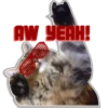 Gat sSSs 17