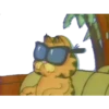 Garfield 1 8