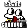 Florksitos novios 13
