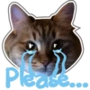 Please...