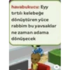havabukucu: Eyy
tırtılı kelebeğe
dönüştüren yüce
rabbim bu yavsaklar
ne zaman adama
dönüşecek
O