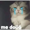 Gatitos    1 22