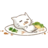 Christmas Cat 13