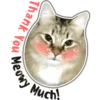 Much!
Thank You Meowy